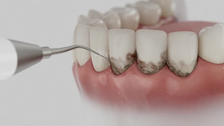 Reliable Dental contractor in Fairmont, NC by Dentist Open Now